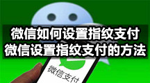 微信如何设置指纹支付，微信设置指纹支付的方法