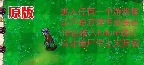 《植物大战僵尸》代码输入方法介绍