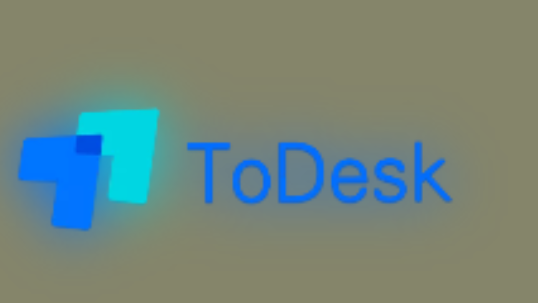 《ToDesk》自动登录开启方法介绍