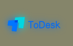 ToDesk自动登录