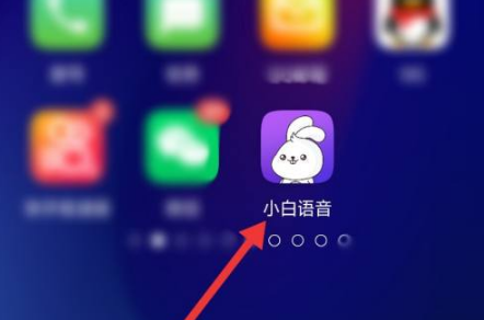小白语音悬浮球怎么设置 小白语音新手使用教程