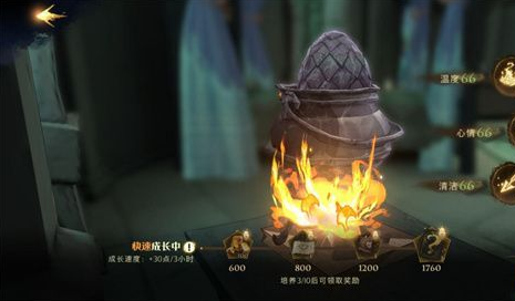 《哈利波特：魔法觉醒》龙蛋养成方法分享