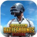 pubg国际服手游地铁模式下载最新版2021 v1.15.13